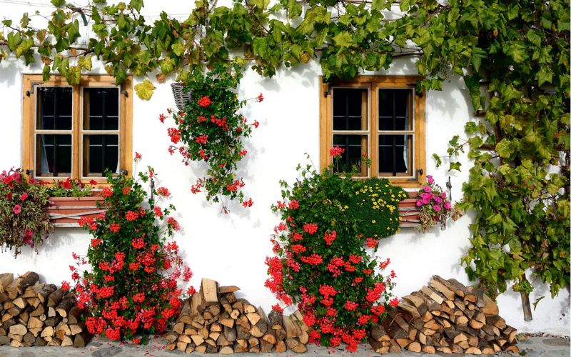 Lee más sobre el artículo Cómo crear un jardín vertical en espacios reducidos: Ideas y técnicas