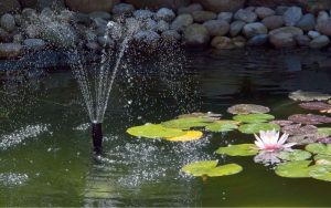 Lee más sobre el artículo ¿Cómo incorporar elementos acuáticos en tu jardín? Todo sobre fuentes y estanques
