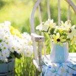 Cuidado De Jardines En Climas De Calor