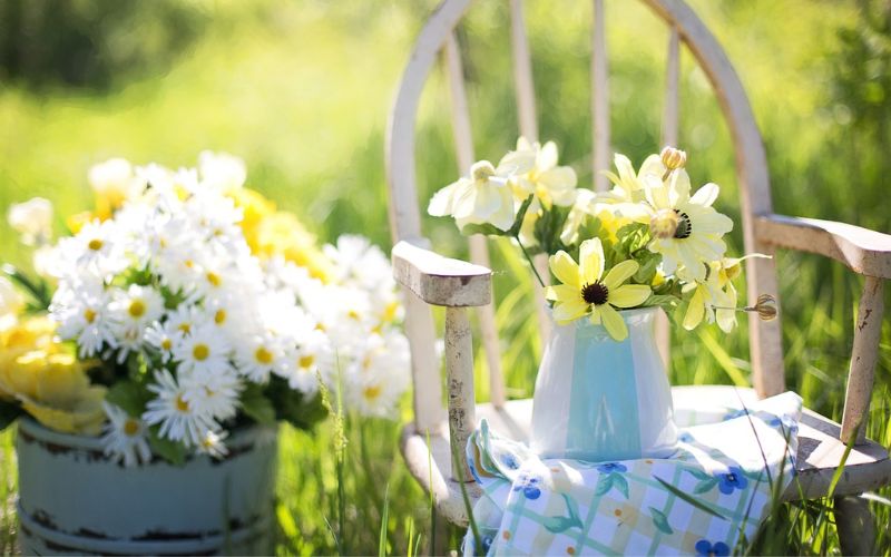 Lee más sobre el artículo Cuidado de jardines en climas de calor