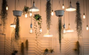 5 Ideas Para Colgar Plantas En Interiores Sin usar estantes