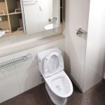 Cómo Hacer Un Aseo Pequeño En Casa