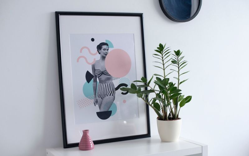 Lee más sobre el artículo ¿Cómo hacer un drenaje en plantas de interior?