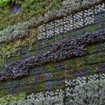Cómo Montar Un Jardín Vertical En Una Terraza pequeña