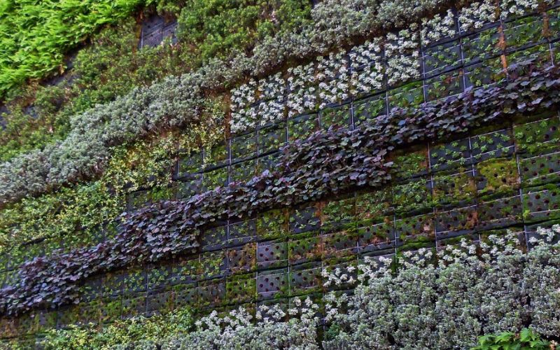 Lee más sobre el artículo ¿Cómo montar un jardín vertical en una terraza pequeña?