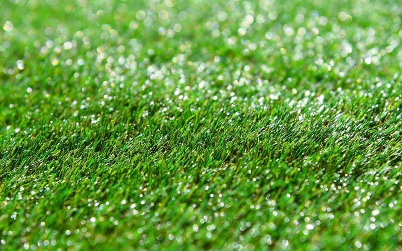 Lee más sobre el artículo ¿Cómo proteger el césped artificial durante el invierno?