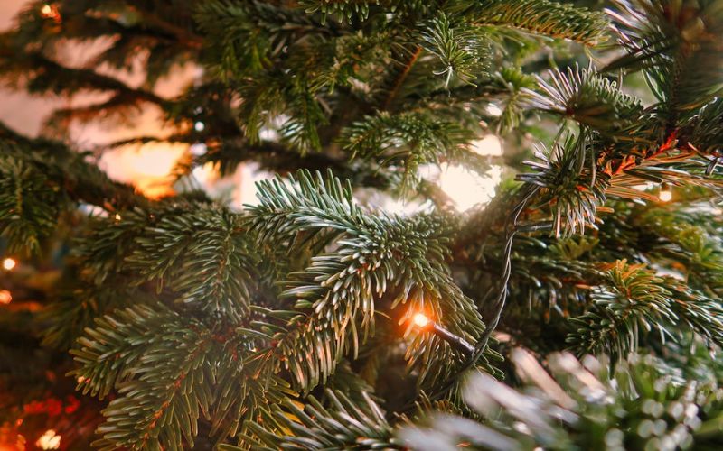 Lee más sobre el artículo Un árbol de Navidad para todo el año: Ideas de decoración por estaciones con productos de Temu